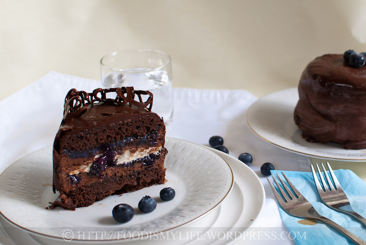 Chocolate and Blueberry Pudding Cake - April J Harris