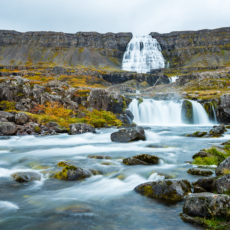 Day 16/22 Iceland: Réttir at Innri-Múli